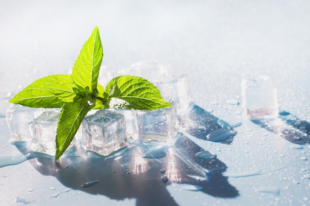 Ghiaccio alla menta sul blu. concetto di estate fresca.