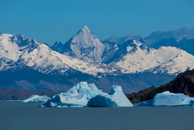 Iceberg floating on the Lake Argentino