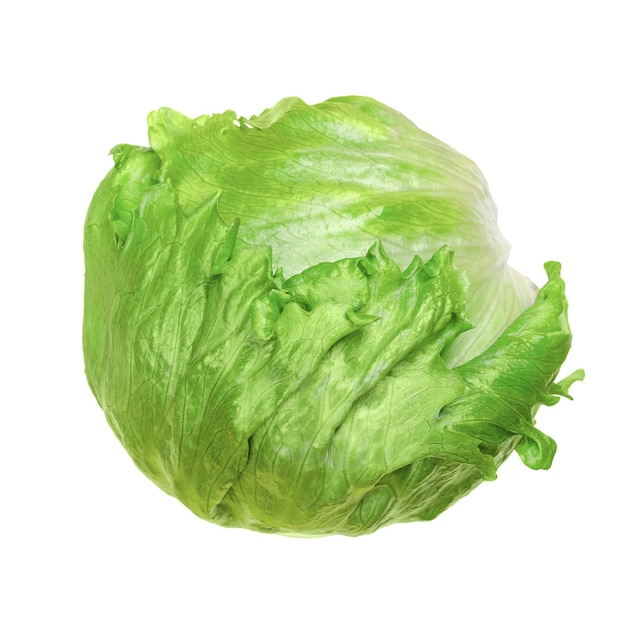 Iceberg lettuce isolated from above