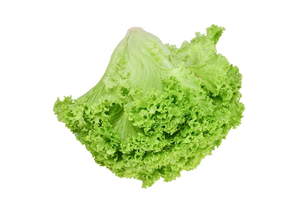 Iceberg lettuce isolated on white background