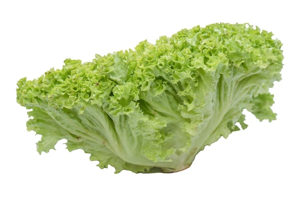 Iceberg lettuce isolated on white background