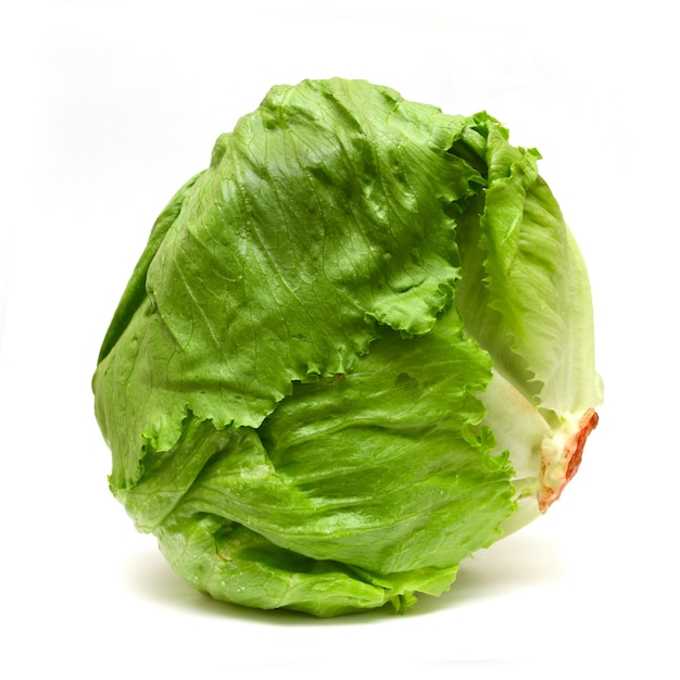 Iceberg lettuce isolated on white