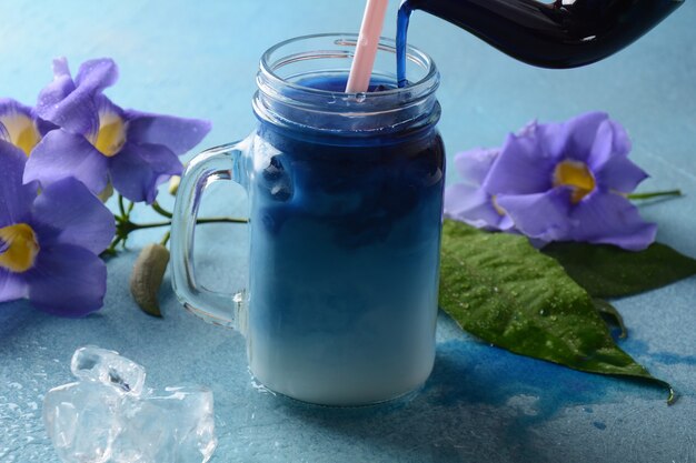 Iced butterfly pea latte. Healthy summer cold beverage, iced organic blue and violet butterfly pea flower tea