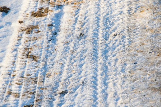 Iced dew on the grass and leaves on the land, morning cold and snow