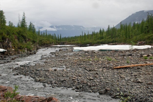 The icefield in the tideway of the mountain river