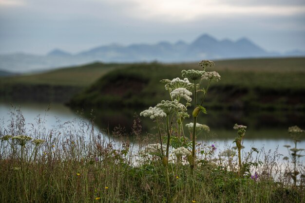Foto paesaggio islandese di bello