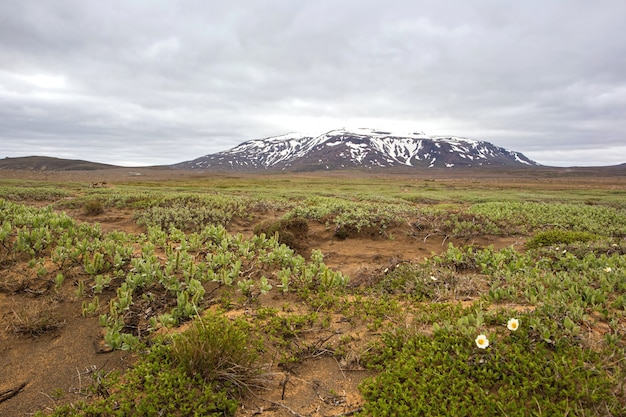 Icelandic nature landscape scenery near Hvitarnes