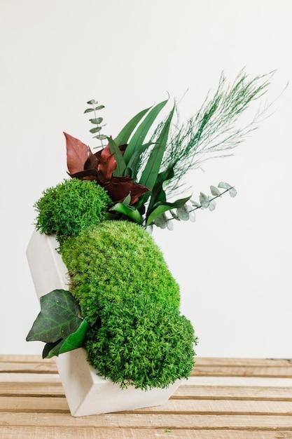 Icelandic stabilized moss in white concrete on wood and white background