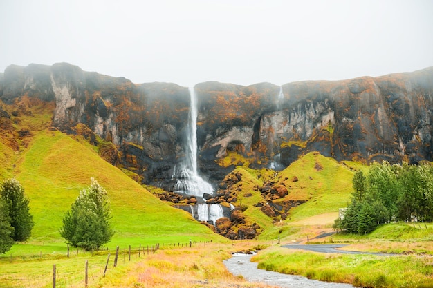 Icelandic waterfall. Autumn landscape at foggy day