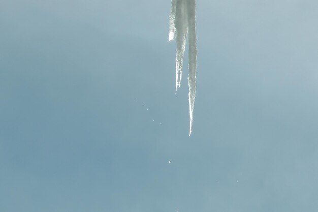 The icicle starting to melt