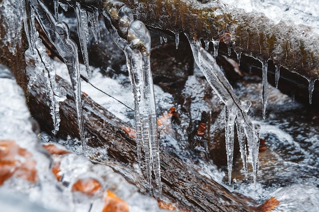 Icicles on a branch on a background of a mountain river