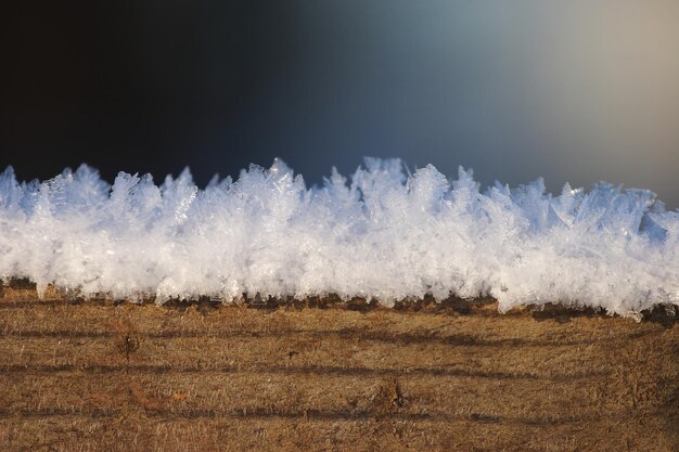 Photo icicles on grassy field