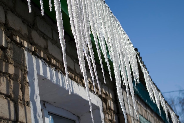 Icicles hang from the iron green roof spring melting snow