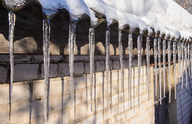 Icicles hanging from the roof