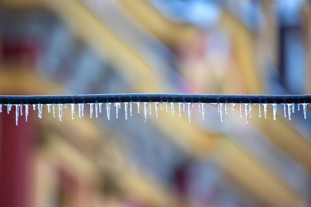 Icicles on wires near street houses winter season nature