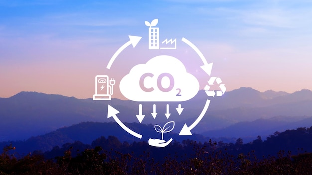 Icon voor het verminderen van CO2 met een cirkel voor het verkleinen van de CO2-voetafdruk en koolstofkrediet om de opwarming van de aarde door klimaatverandering te beperken Bio Circular Green Economy concept