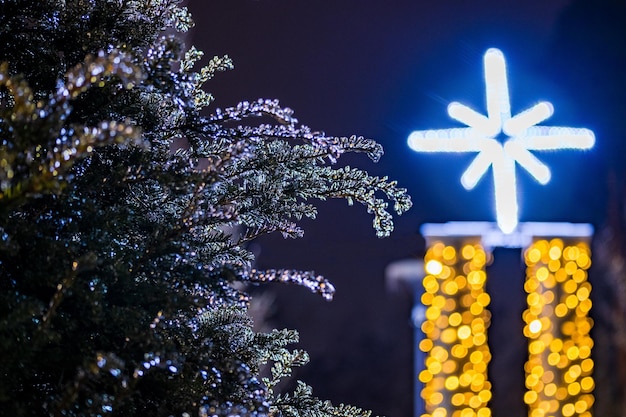 写真 氷のような木の枝が前景にあり、美しいクリスマスの星のボケ味があります。高品質の写真。