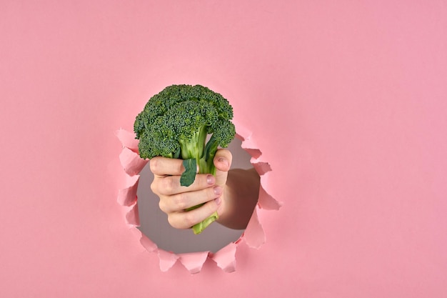 Photo the idea of making decision for healthy lifestyle broccoli as a sign of wellness on pink background with a ripped hole closeup