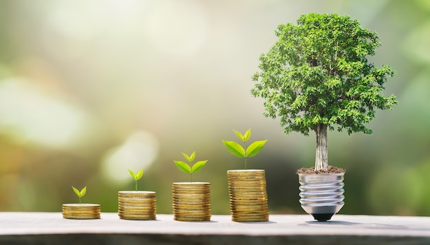 나무와 돈 성장 단계의 아이디어