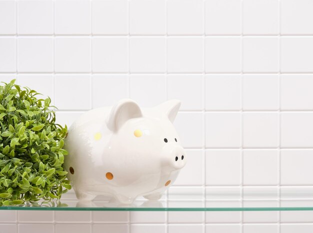 Idea of saving money and stable future Piggy bank and green plant Copy space for text