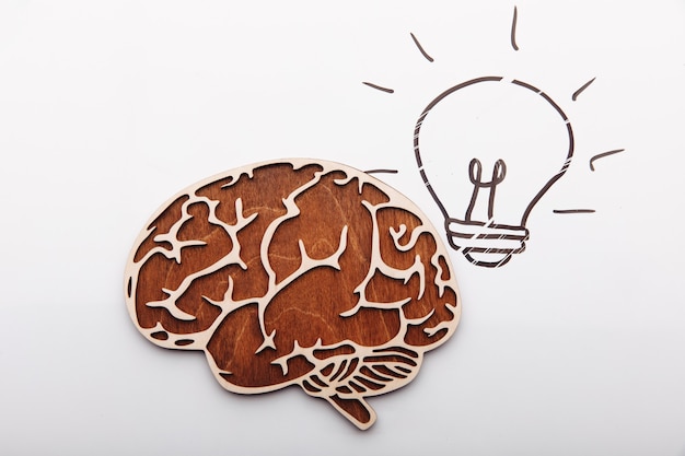 Idea solution concept brain and picture of light bulb on a white background