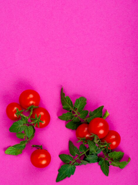 Idea with fresh organic vegetables against bright background. Minimal health concept. Studio Photo.