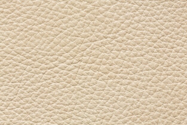 Ideal leather texture in white colour for your unique project
