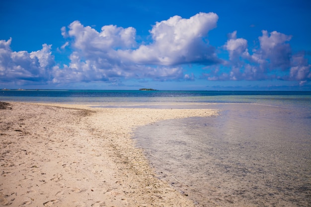 青緑色の水と砂漠の島の白い砂浜が広がる理想的な熱帯のビーチ