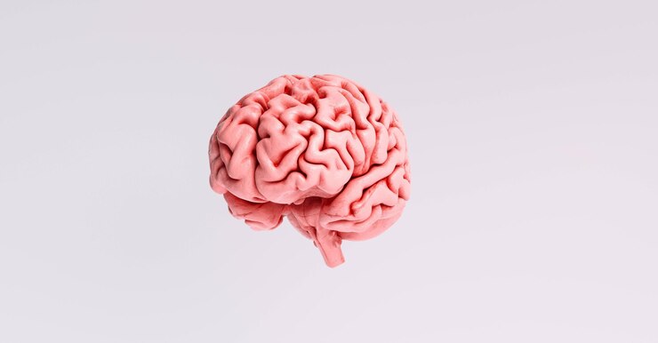 Photo ideal for website and magazine layouts and designs in companies