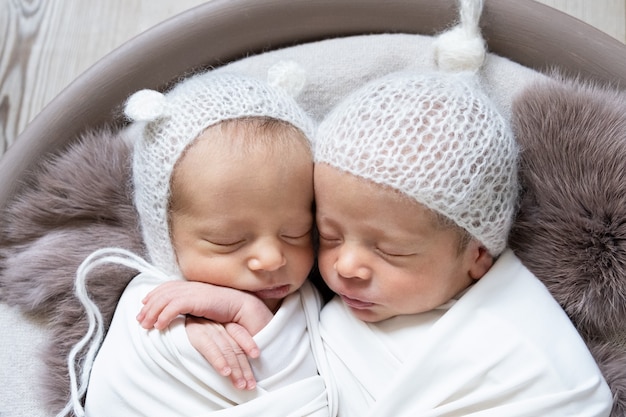 コピースペースを持つ同一の双子の幼児の赤ちゃん