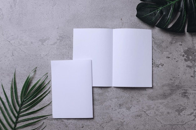 Identity design corporate templates company style set of booklets blank white folding paper