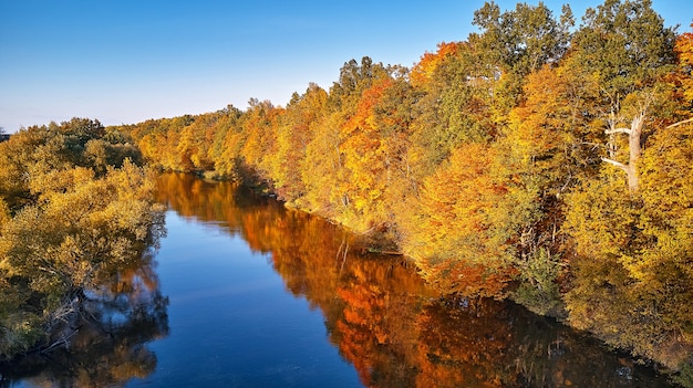 Idilliaco paesaggio autunnale soleggiato, scena aerea rurale - foto stock. alberi colorati di caduta che si riflettono nell'acqua, sfondo pittoresco. foresta selvaggia, fiume, panorama al tramonto sul prato, bielorussia