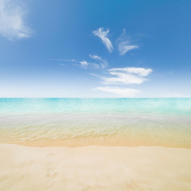 Idyllic beach and sea