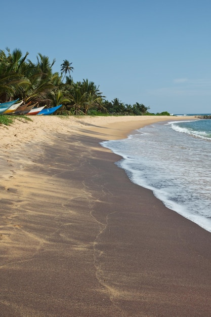 Idyllic beach sri lanka