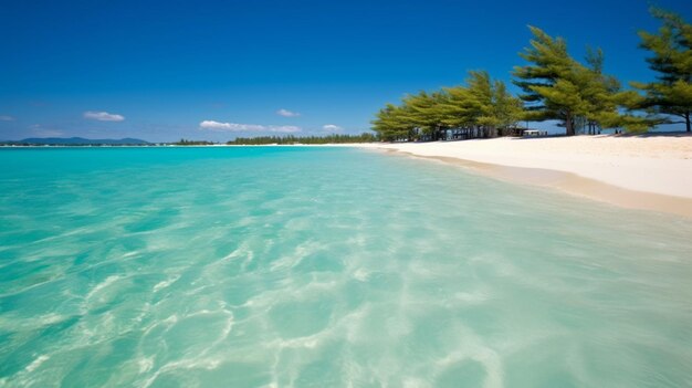An idyllic beach with crystal clear waters and whit