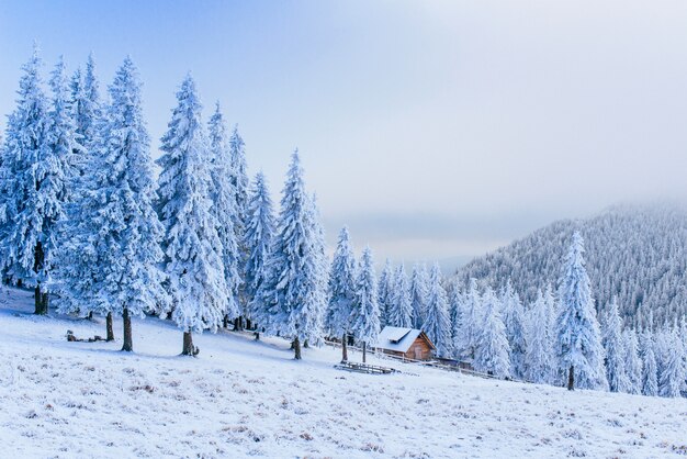 Photo idyllic cottage in winter