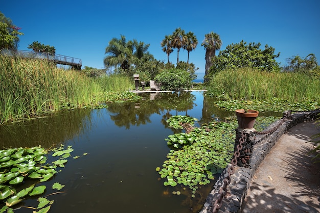 Idyllic Garden in puerto de la Cruz, Tenerife, Spain.