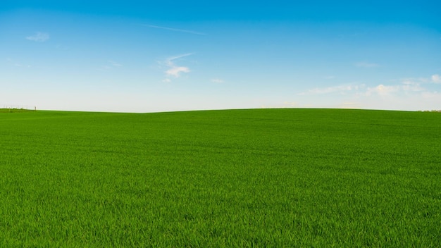 Idyllic grassland rolling green fields blue sky and white clouds in the background