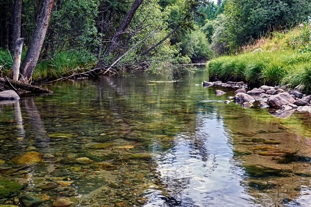 Idyllic landscape Calm forest river with clear water