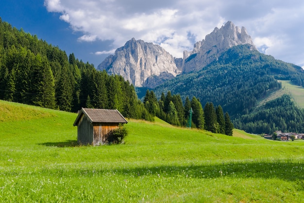 牧歌的な山の風景