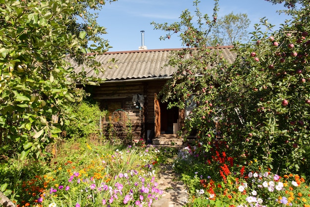 Idyllic and picturesque summer garden with small wooden house with pipe in Russian countryside.