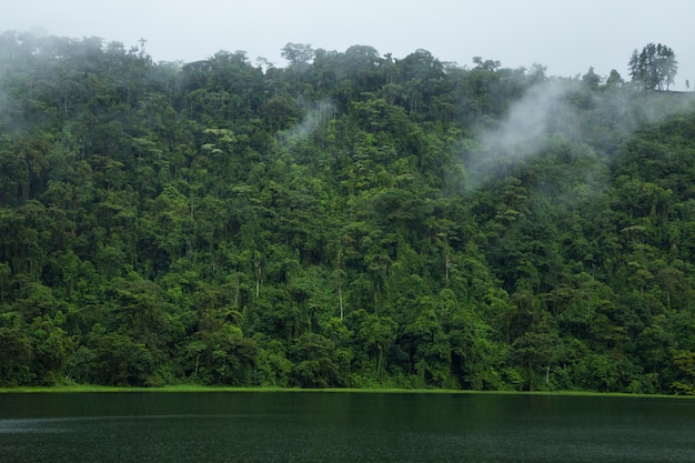 写真 コスタリカの熱帯雨林の近くの牧歌的な川