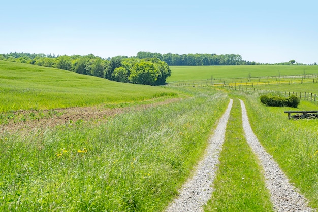 idyllic rural scenery