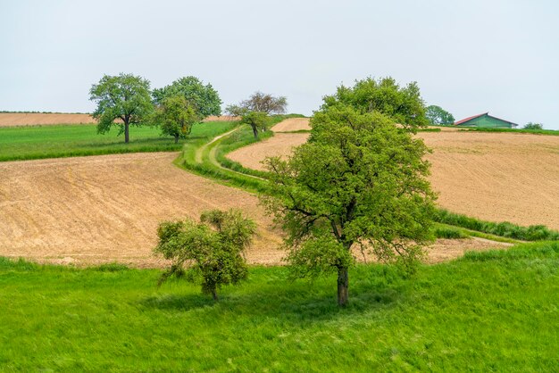 Idyllic rural scenery