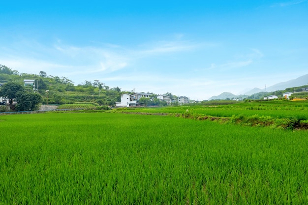 のどかな風景中国の田舎の棚田