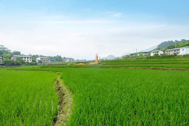 のどかな風景中国の田舎の棚田