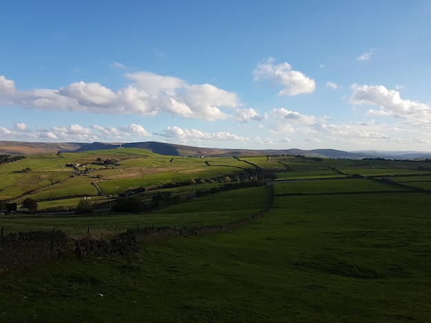 idyllic shot of green landscape against sky