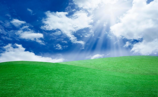 Foto scatto idilliaco di paesaggio verde contro il cielo