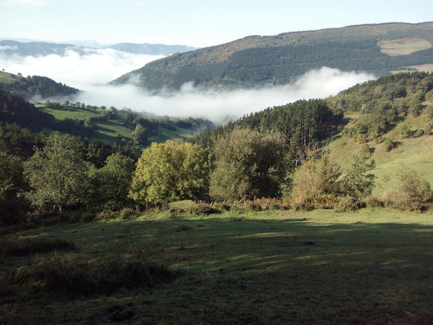 idyllic shot of landscape in foggy weather against sky