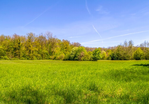 Idyllic spring time scenery